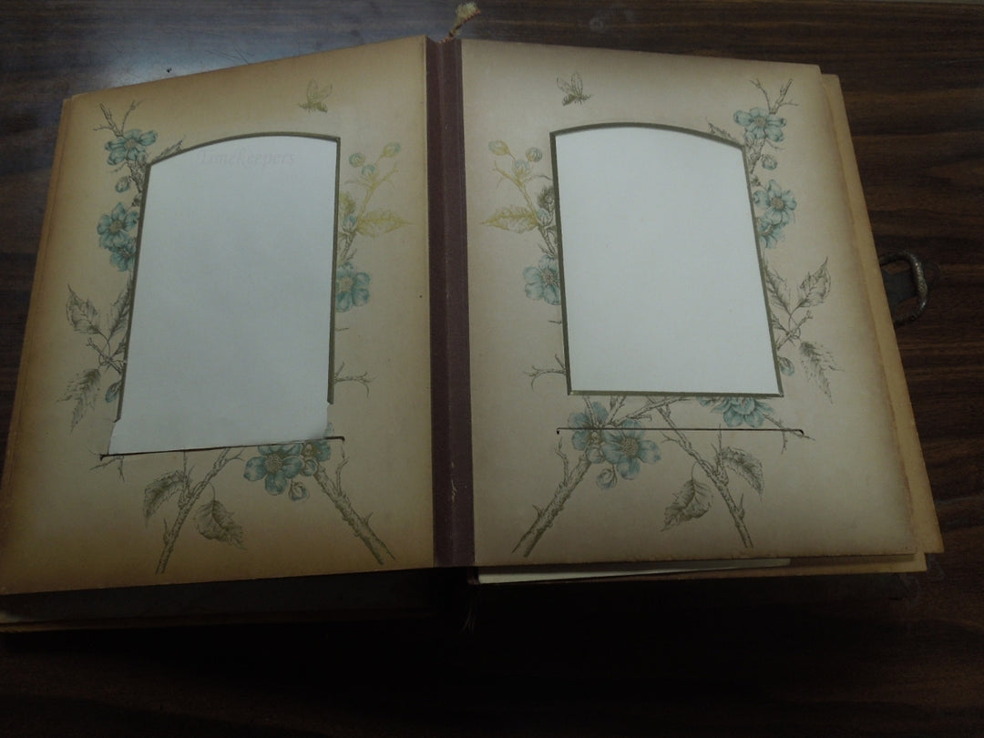 q942 Antique Victorian Celluloid Photo graph Album with Music Box –  TimeKeepersOlive