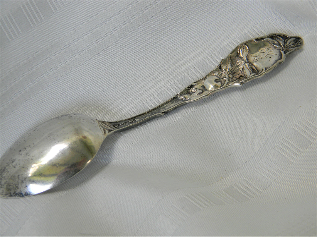 j456 Vintage Collectible A.S.O. Hospital in Sterling Silver Spoon from 1913