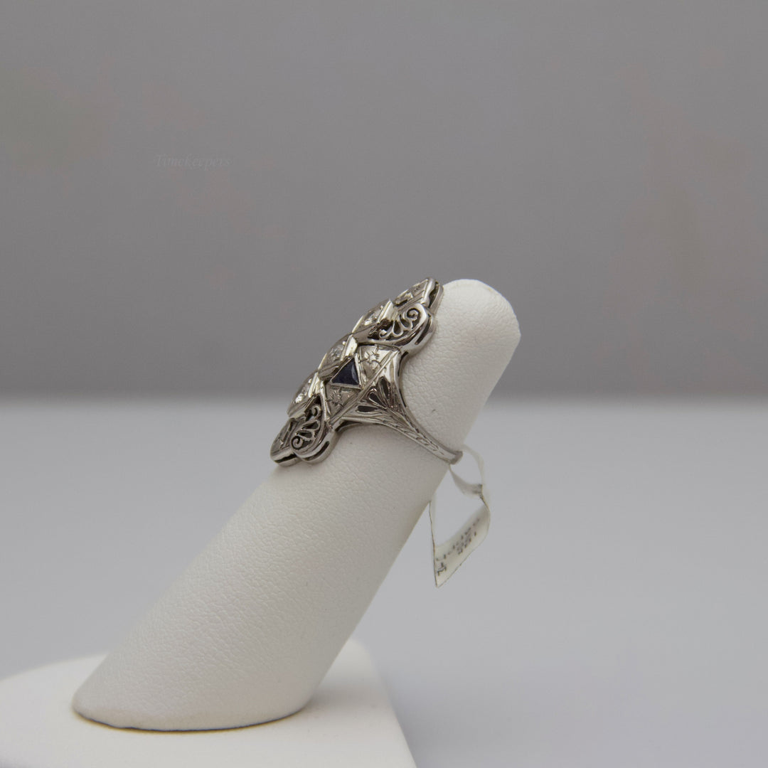 d642 Fancy 18k White Gold Diamond &amp; Sapphire Ring